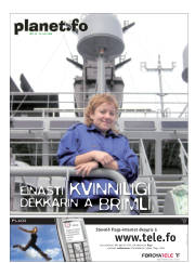 Síða 17