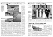 Síða 5