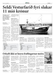 Síða 11