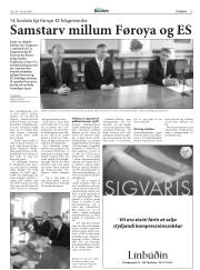 Síða 15