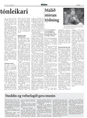 Síða 17