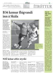 Síða 19