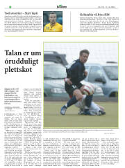 Síða 20