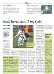 Síða 21