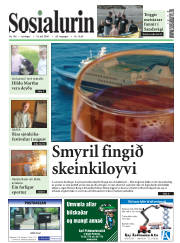 Síða 1