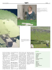 Síða 17