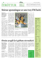 Síða 20