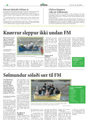Síða 22
