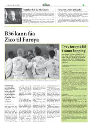 Síða 25