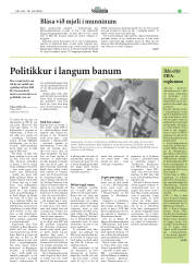 Síða 27