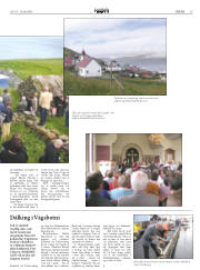 Síða 15