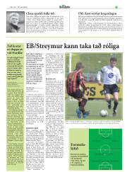 Síða 21