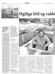 Síða 26