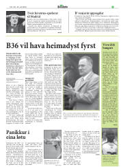 Síða 29