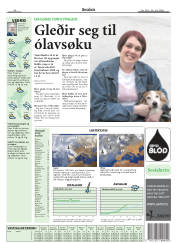 Síða 38