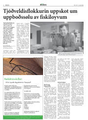 Síða 8