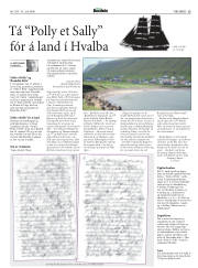 Síða 33