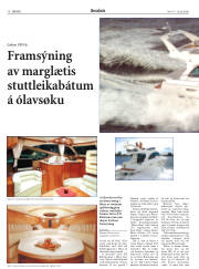 Síða 16