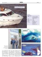 Síða 17