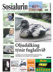 Síða 1