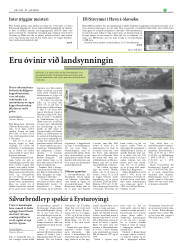 Síða 17