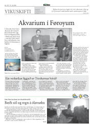 Síða 19