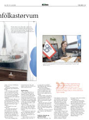 Síða 31