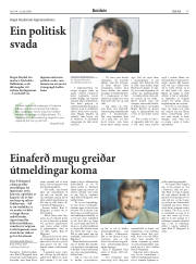 Síða 17