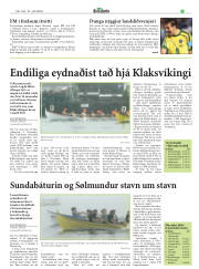 Síða 21