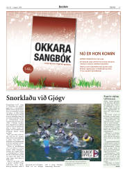 Síða 15