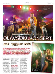 Síða 17