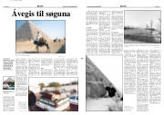Síða 13