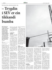 Síða 8