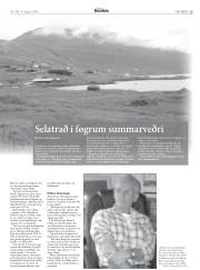 Síða 33