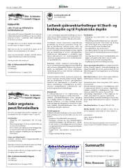 Síða 41