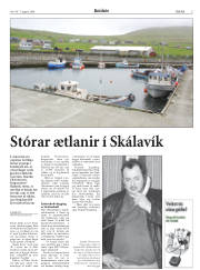 Síða 5
