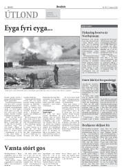 Síða 8