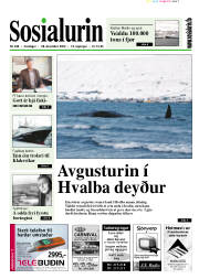 Síða 1
