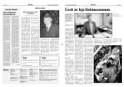 Síða 2