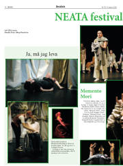 Síða 11