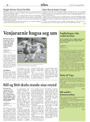 Síða 17