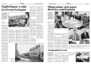 Síða 5