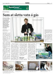Síða 13