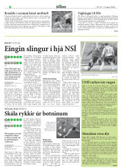 Síða 17