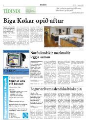 Síða 28