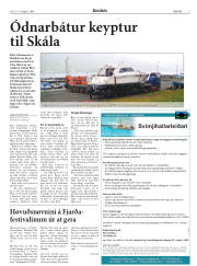 Síða 29
