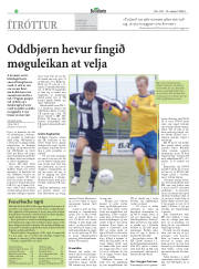 Síða 21