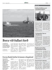 Síða 7