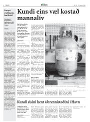 Síða 8