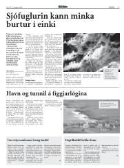 Síða 17